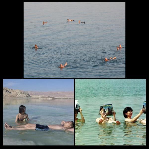 Nadia Hosting Dead Sea Villa Neve Zohar Eksteriør bilde